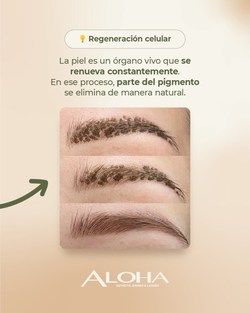 565088171_1099512529012248_5571012287058081180_n