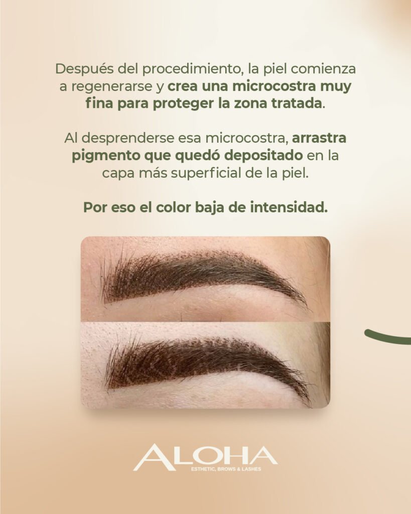 566222305_1099512545678913_1420512921047452345_n